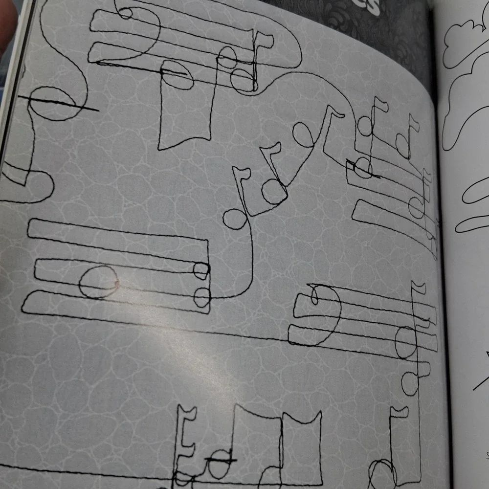250 Continuous-Line Quilting Designs for Hand, Machine and Long-Arm Quilters